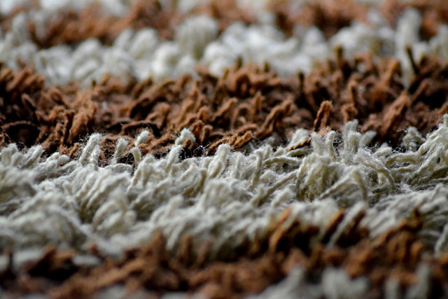 Close up of brown and white fiber carpet.jpg